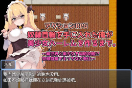 获得奴隶项圈的我成功建立美少女后宫 汉化版+存档