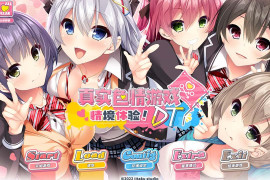 真实HGAME情境体验！ STEAM官方中文版
