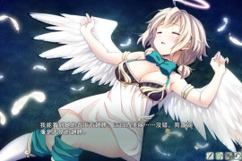 我成为天使的理由 官方中文版+全存档