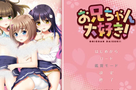 我爱哥哥！ 汉化版+存档