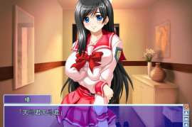 新郎夺婚十番胜负！AI汉化版+全存档