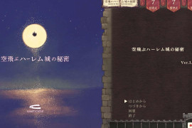 翔后宫城的秘密 DL正式版