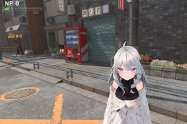 NTR大师：NTR Master Demo Ver0.21官方中文版