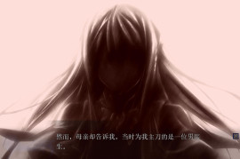 圣天之泪：惨遭背刺的天使V1.01 官方中文版