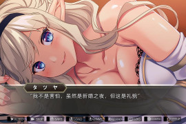 如何与精灵结婚~后宫结婚推奖 汉化版+全存档