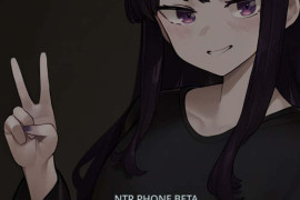 NTR手机 V0.33.2 官方中文版[PC+安卓]