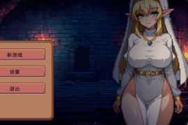 Dungeon Devotion V1.2c官方中文版